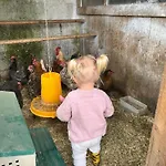 Apartmán Niedermaisgut *