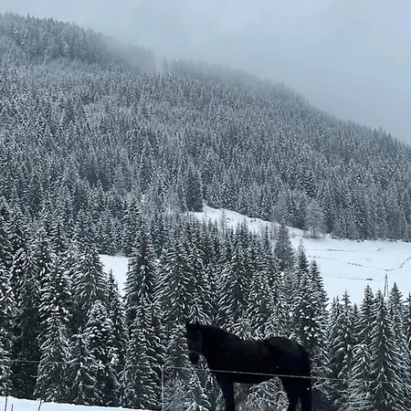 Апартаменты Niedermaisgut