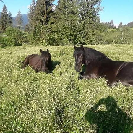 Niedermaisgut Апартаменты