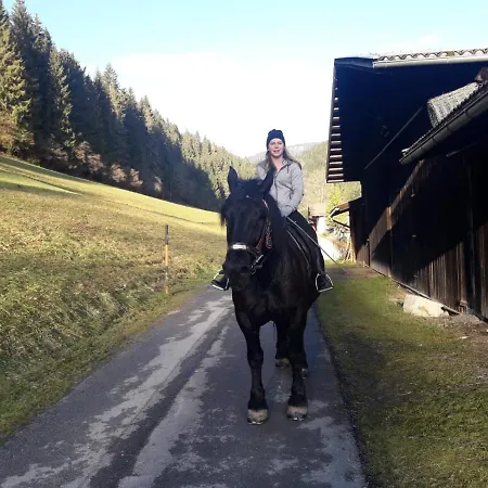 Niedermaisgut Апартаменты