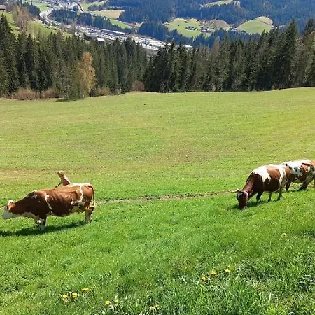 Апартаменты Niedermaisgut *