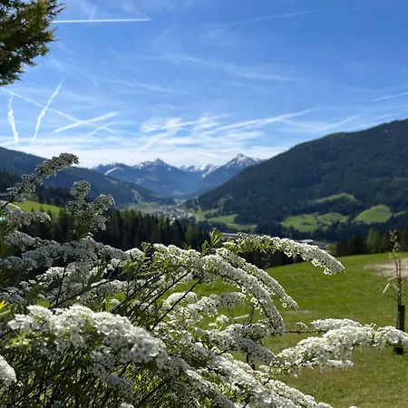 Niedermaisgut Апартаменты *