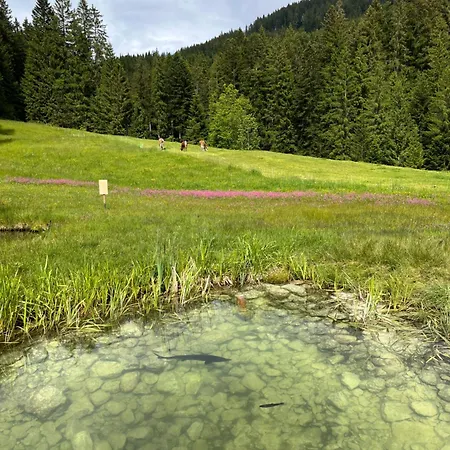 Апартаменты Niedermaisgut *