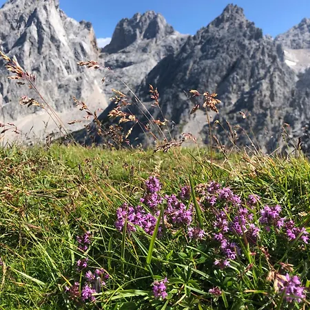 Апартаменты Niedermaisgut *