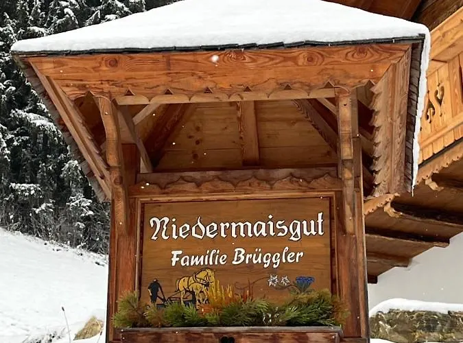 Niedermaisgut Daire *