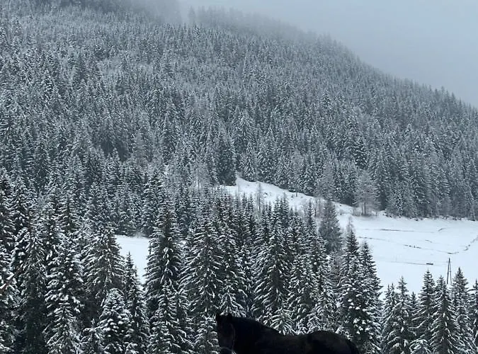 Apartman Niedermaisgut