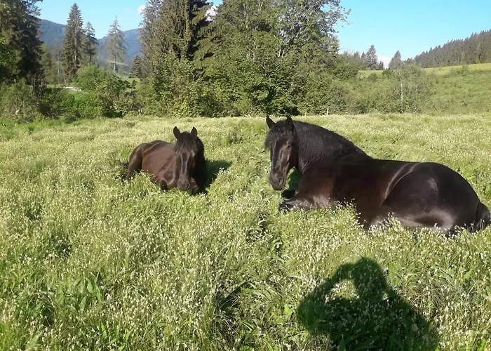 Niedermaisgut Apartman