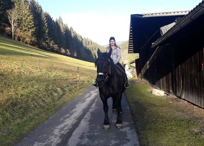 Niedermaisgut Apartman