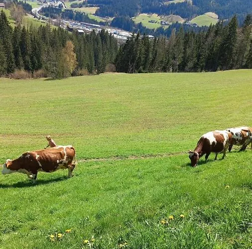 Apartmán Niedermaisgut *