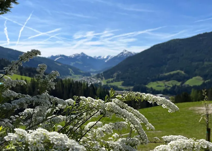 Niedermaisgut Daire *