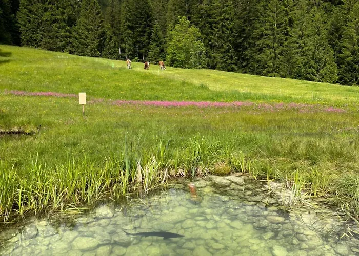 Apartman Niedermaisgut *