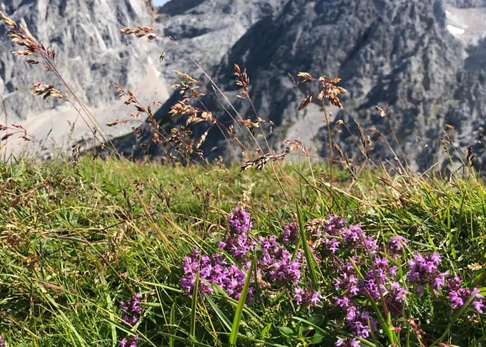 Apartman Niedermaisgut *