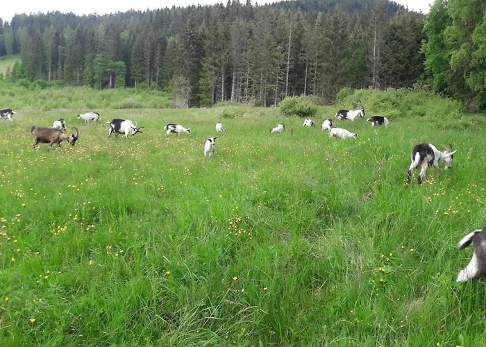 Niedermaisgut * Gasthof