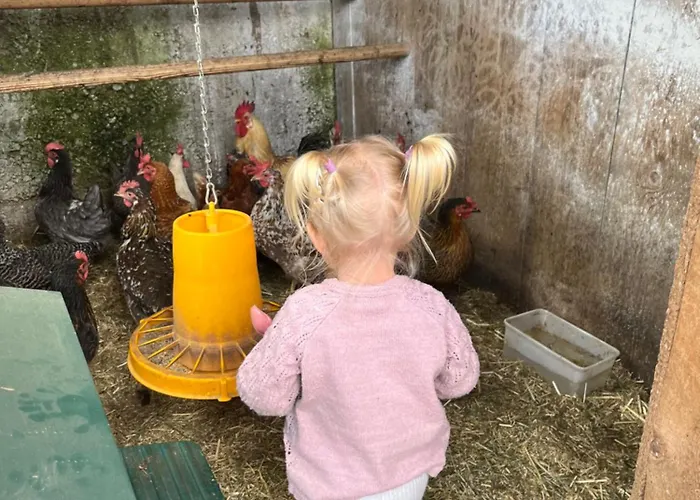 アパート Niedermaisgut *